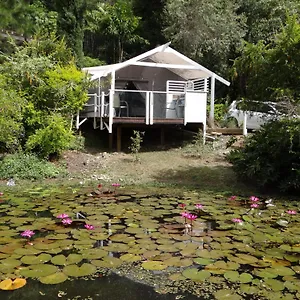 Bed & Breakfast Yacht Club, Eumundi